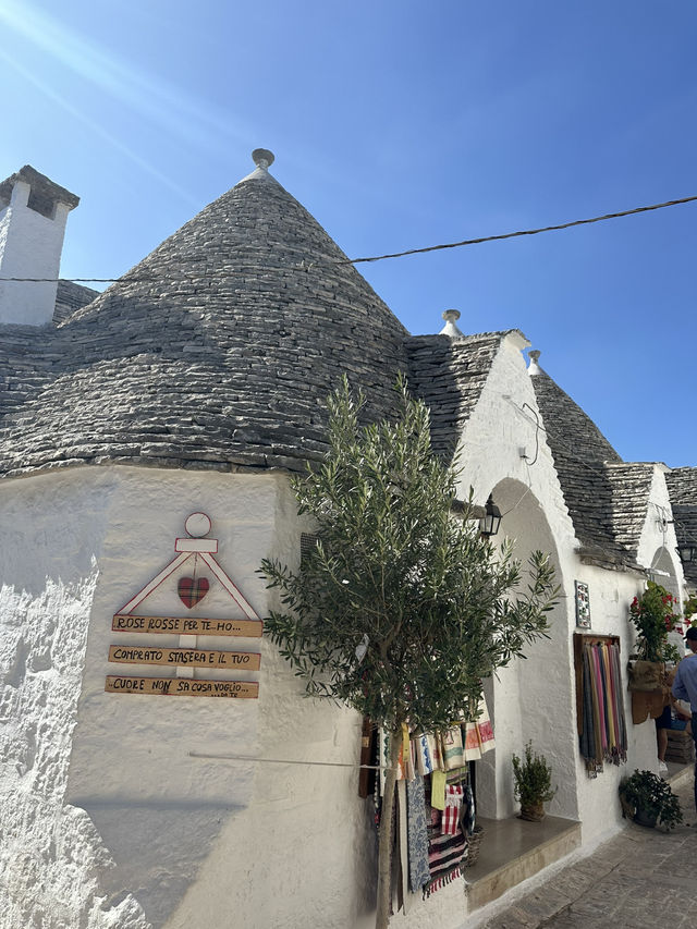 🏡 蘑菇村 Alberobello｜聯合國文化遺產 童話小鎮必打卡