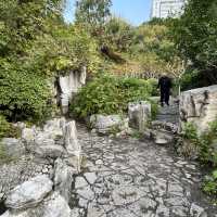 A Relaxing City Oasis — Five Dragon Pool Park