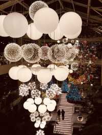 Nighttime Magic by the Illuminated Water