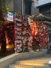 🇨🇳 武漢~「曇」花一現嗎?🌸🌺🌷