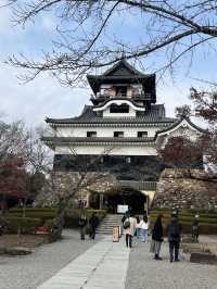 Inuyama Autumn Walk🍁