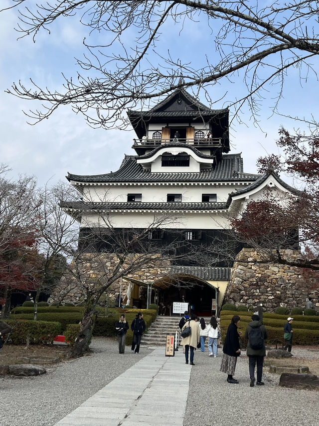 Inuyama Autumn Walk🍁