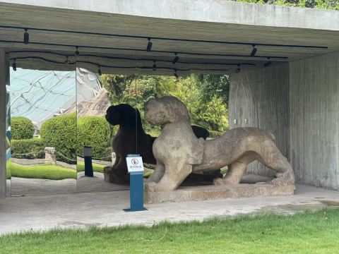 🏛️ Three Gorges Museum of China (重庆中国三峡博物馆) — A Deep