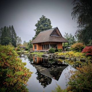 The Japanese Garden at Cowden
