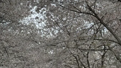 Menikmati Taman di Alam di Duke Sara Garden — traveler post in Durham