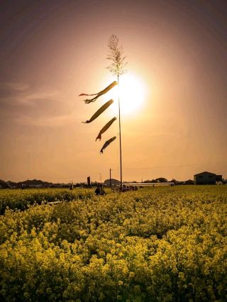 心身を癒すリフレッシュ旅へ。