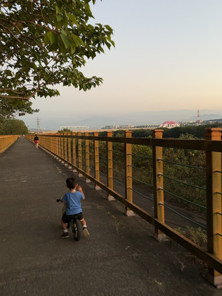 ✨與白鷺鷥並肩追風去！竹北「頭前溪河濱自行車道」絕美豆腐岩、九芎林綠意綠色隧道單車漫遊日誌🚲