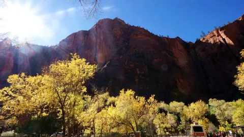 ​[Utah · Zion National Park] Taking it to the Extremes! Just Descended from Angels Landing, Now Off to Explore the "Wading Abyss" of The Narrows. — traveler post in Hurricane