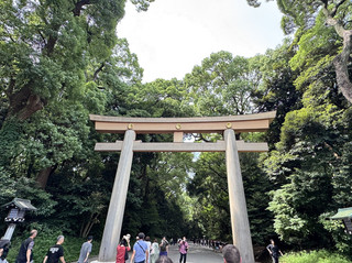 【東京景點推薦】繁華原宿旁的千年森林!「明治神宮」,全日本最大木造鳥居、神聖參拜流程、限定御守不踩雷指南!