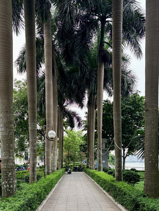 Why West Lake Became My Favourite Place in Hanoi 