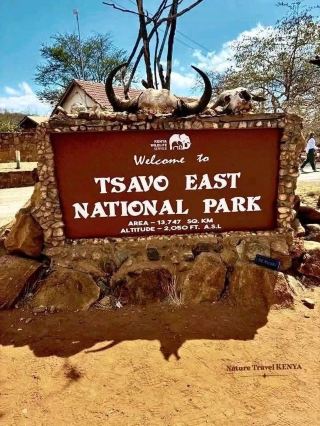 🐘 Tsavo West National Park — A True Escape Into the Wild 🇰🇪