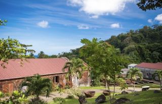 Exploring Grenada: The Caribbean’s Spice Island 🌴🌊