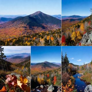 Mountain Views in Peak Fall