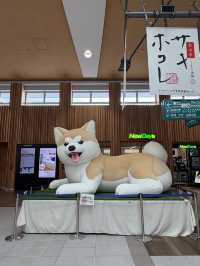 【秋田】駅チカで満喫!ご当地グルメ&歴史さんぽ旅🍶🌿