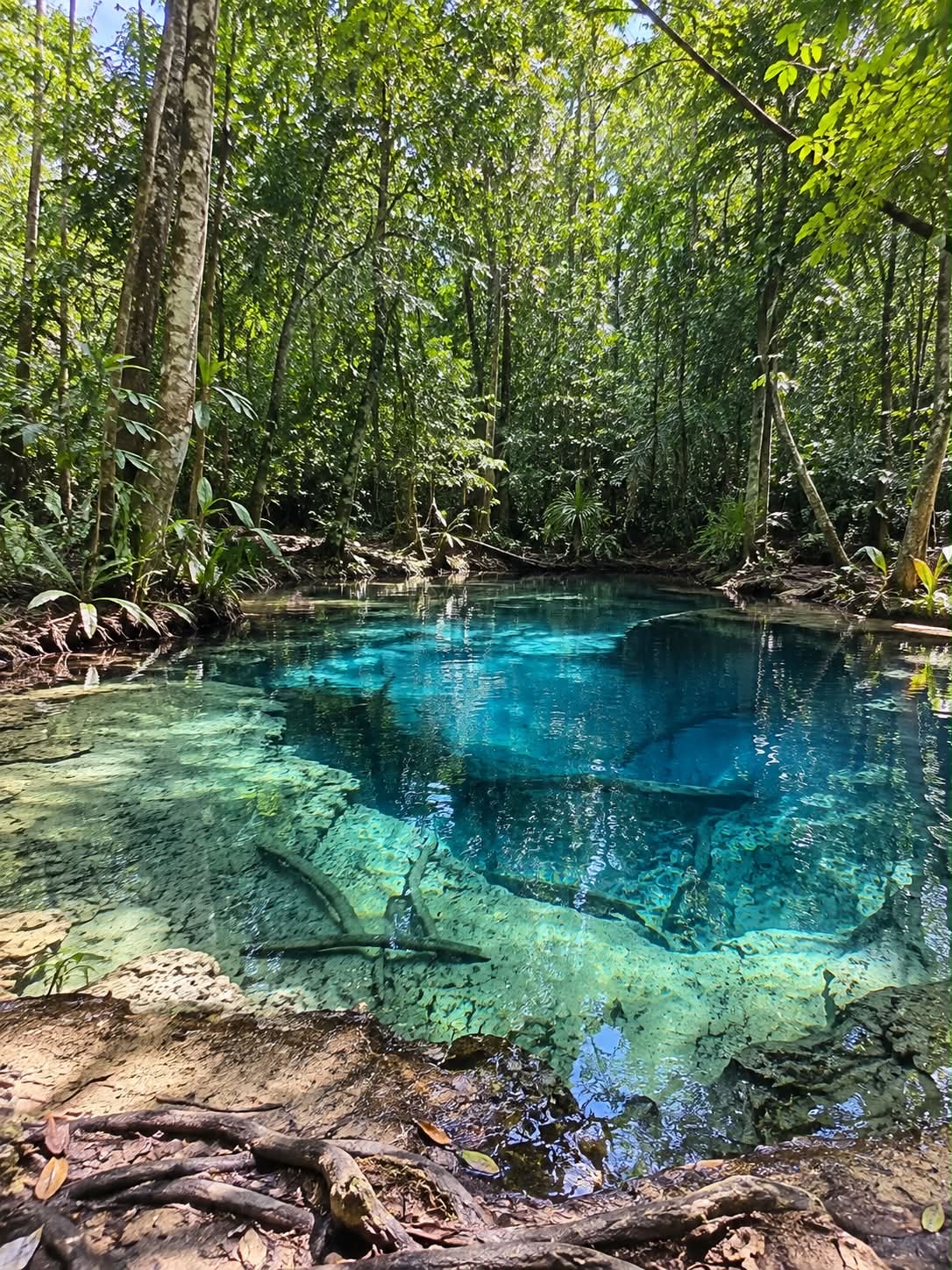 สัมผัสน้ำสีเขียวมรกตกลางป่า ที่สระมรกต กระบี่ 🌊🏝️