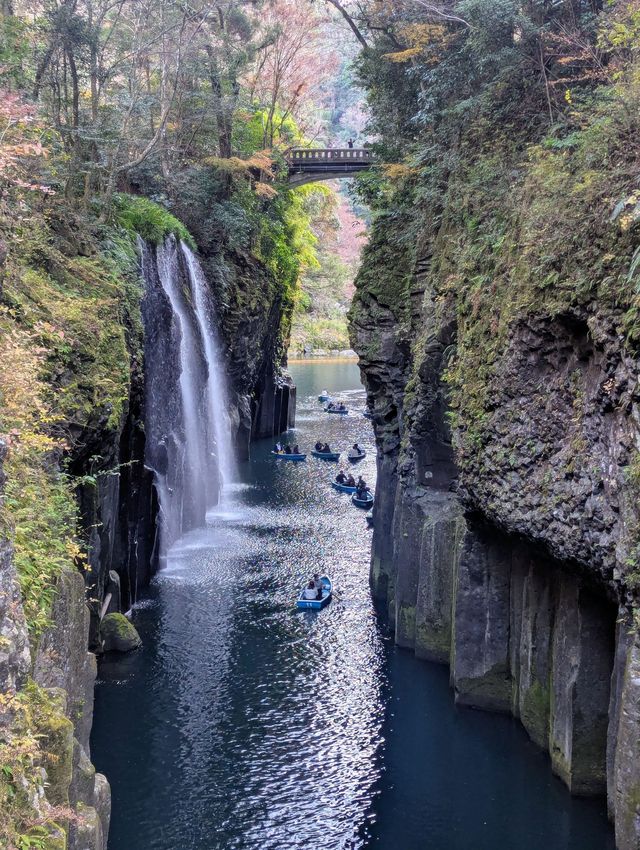 The Foliage Gamble: Chasing Autumn in Kyushu 🍁