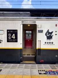【熊本県】一度は乗りたい観光列車！あそぼーい！で楽しむ列車旅🚃