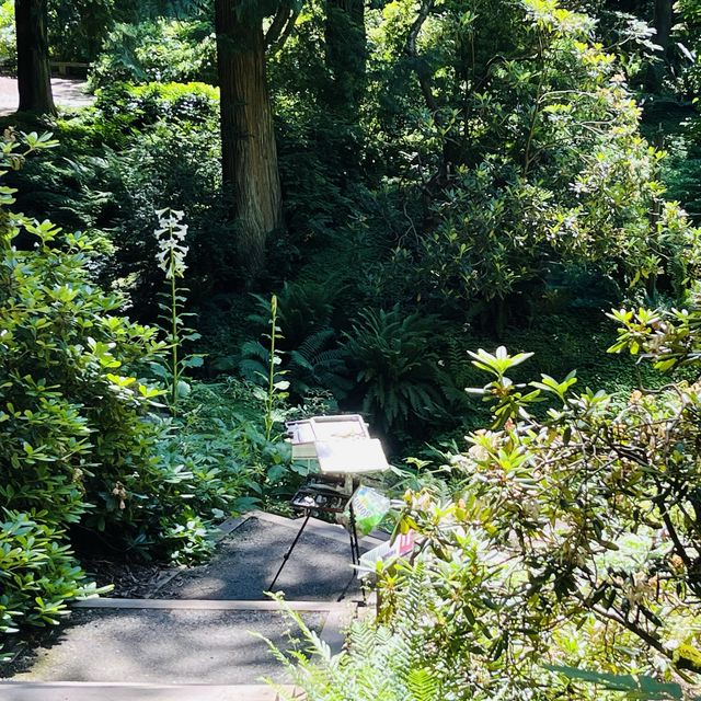 Washington Park Arboretum