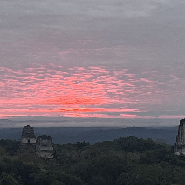 A memorable Mayan civilization and jungle experience at Tikal @ Guatemala 