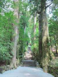 【箱根のパワースポット】フォトスポットとしで大人気の神社⛩️