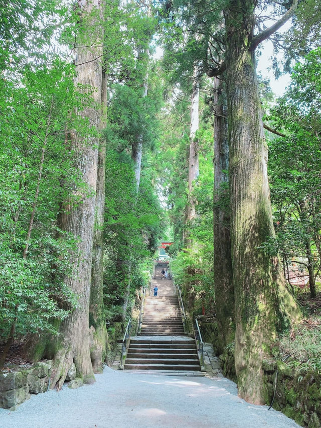 【箱根のパワースポット】フォトスポットとしで大人気の神社⛩️