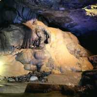 Experience one of the largest natural cave entrances in the Eastern U.S. 