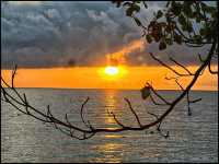 Crystal clear beaches in Oslob - Philippines 