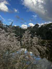 Nature beauty near Canberra