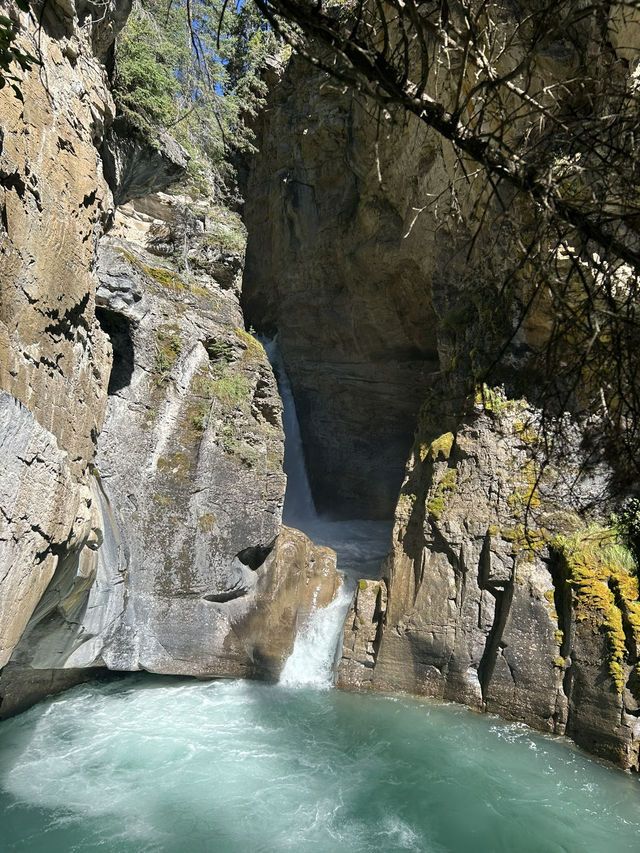 🇨🇦バンフの人気トレイル🏞️【ジョンストンキャニオン】で滝と渓谷を満喫