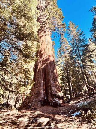 Kings Canyon National Park