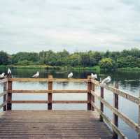 獲獎的Blackleach Country Park