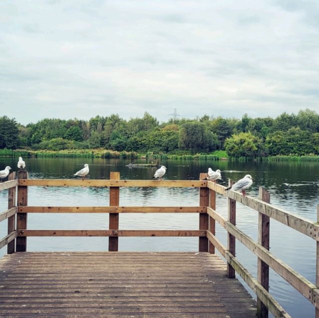 獲獎的Blackleach Country Park