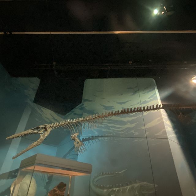 National Museum Cardiff
