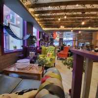 英國人氣貓Cafe~ Kitty Cafe