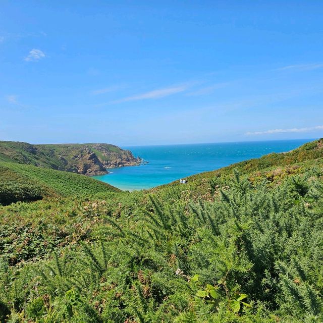 Summer Vibes in Jersey