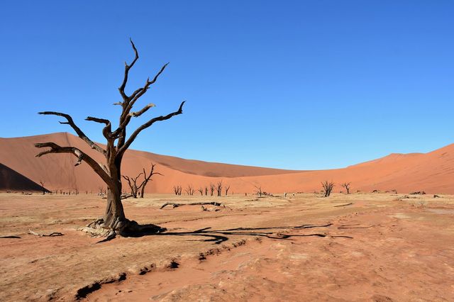 The Whispering Dunes of Namibia's Sossusvlei