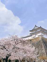 Himeji the best castle in Japan 🇯🇵