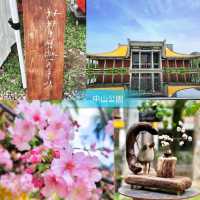🌸台北中山公園🌺環境清幽的城巿綠洲🌳