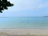 รีสอร์ตริมชายหาดเฉวง บรรยากาศร่มรื่น