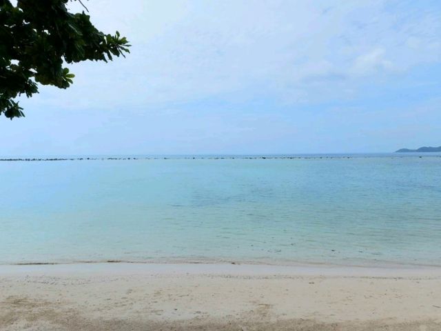 รีสอร์ตริมชายหาดเฉวง บรรยากาศร่มรื่น