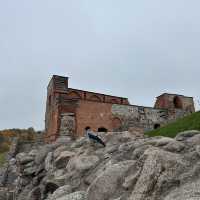  A Panoramic Journey Above Vilnius