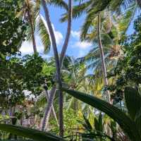 Ecoboo Maldives - perfect honeymoon experience 