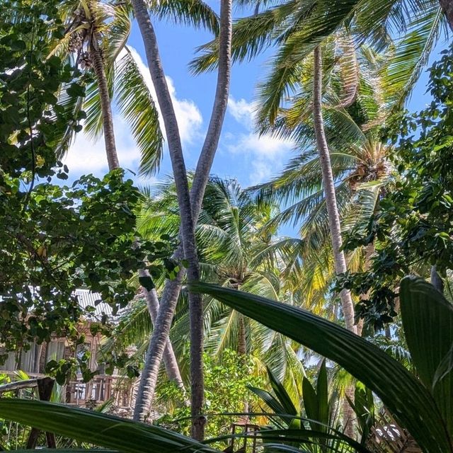 Ecoboo Maldives - perfect honeymoon experience 