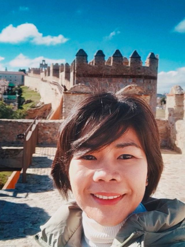 the medieval walls of Avila Spain 