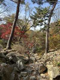 🍂⛰️ Autumn Hiking in Bukhansan: Seoul’s Mountain Escape