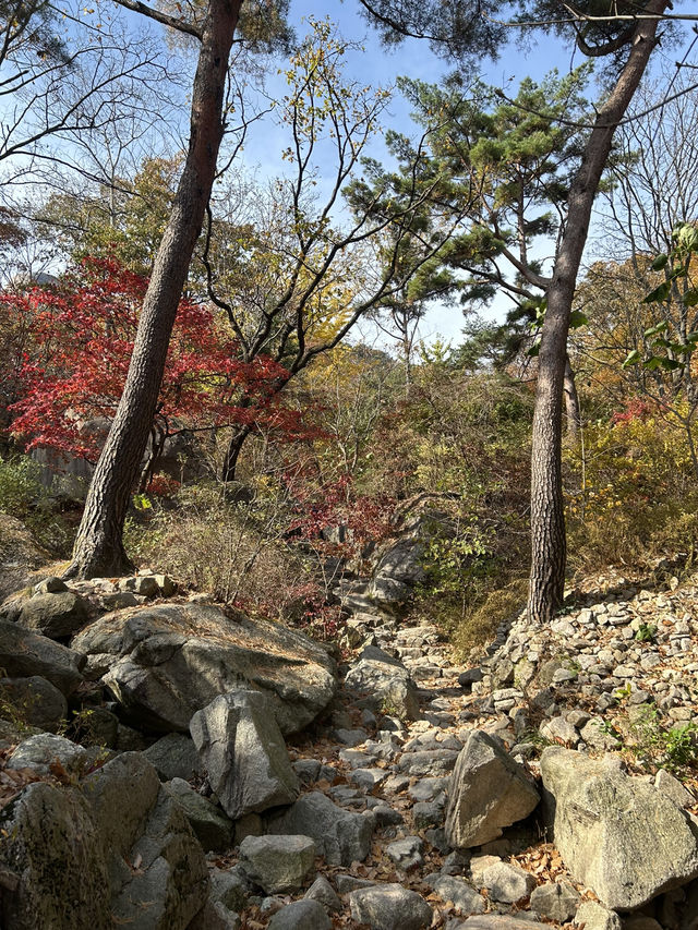 🍂⛰️ Autumn Hiking in Bukhansan: Seoul’s Mountain Escape