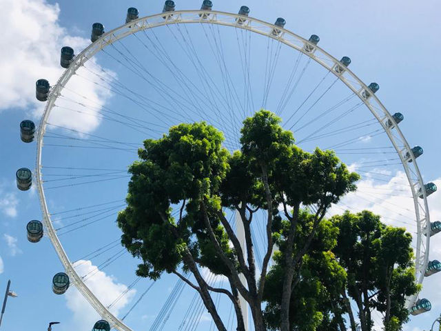 Singapore is truly another world! 