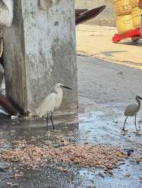 Day 1 - Mumbai 