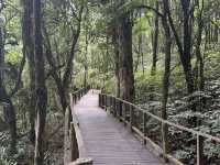 Doi Inthanon tour