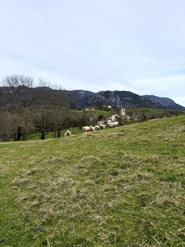 Your Perfect Day in Asturias ⛰️🌲